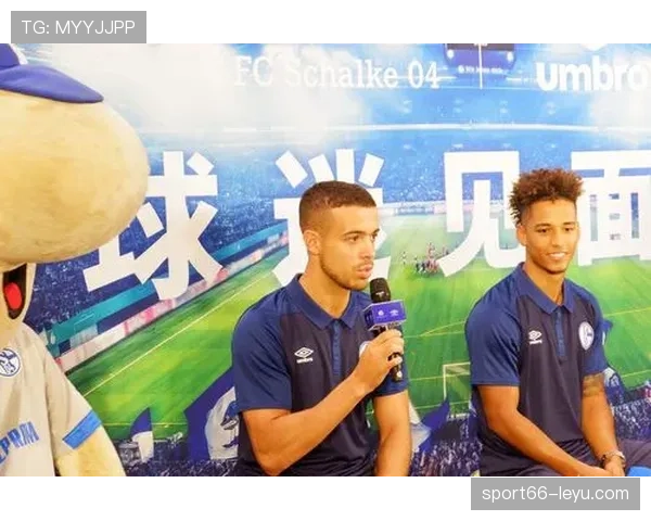 瑞典主场延续不败神话，球迷热情助球队状态全面回暖