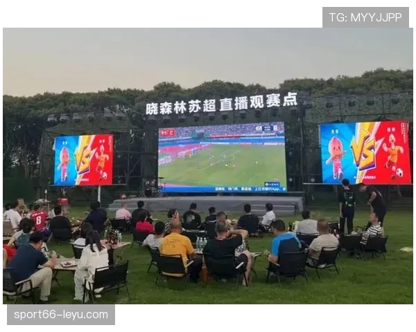 非洲球迷热情如火,足球盛宴点燃大陆狂欢 非洲球迷热情如火,足球盛宴点燃大陆狂欢