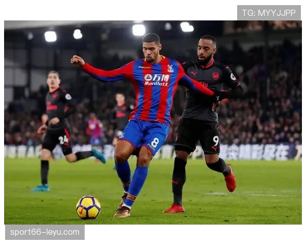 欧洲杯友谊赛表现稳健，多队状态持续提升