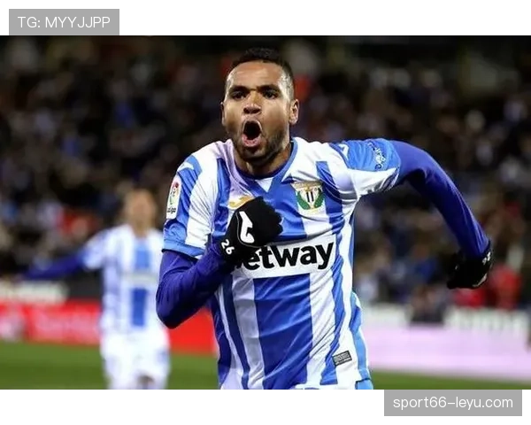 梅里诺技术全面性分析